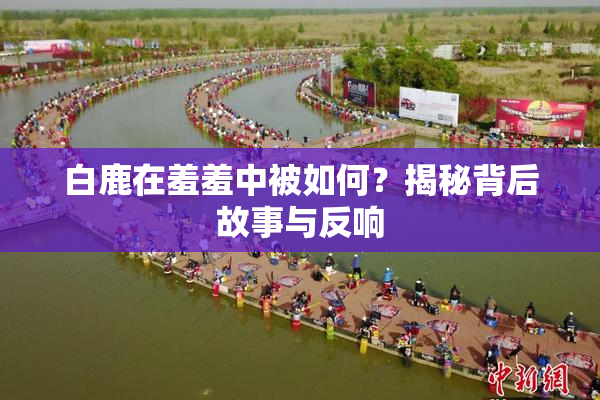 白鹿在羞羞中被如何？揭秘背后故事与反响