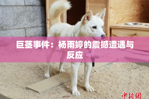 巨茎事件：杨雨婷的震撼遭遇与反应