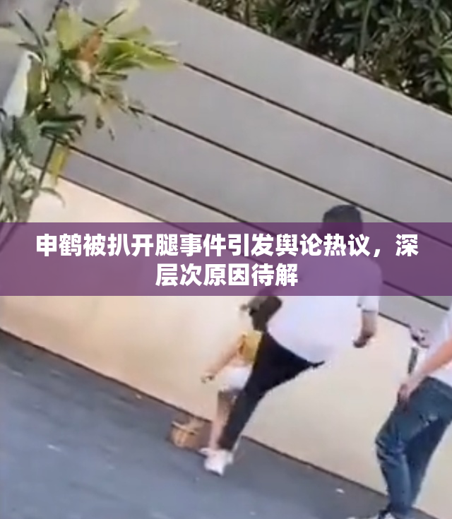 申鹤被扒开腿事件引发舆论热议，深层次原因待解