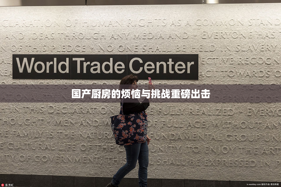 国产厨房的烦恼与挑战重磅出击
