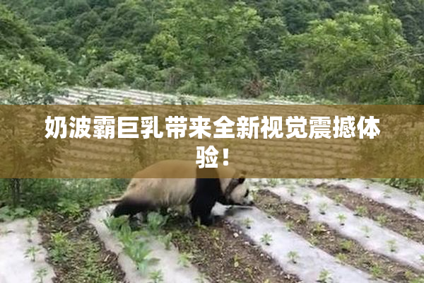 奶波霸巨乳带来全新视觉震撼体验！