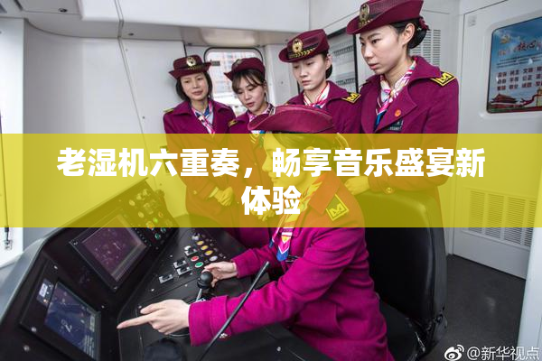 老湿机六重奏，畅享音乐盛宴新体验