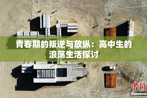 青春期的叛逆与放纵：高中生的浪荡生活探讨