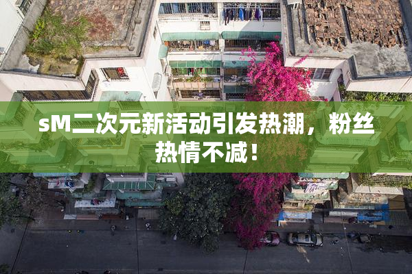 sM二次元新活动引发热潮，粉丝热情不减！