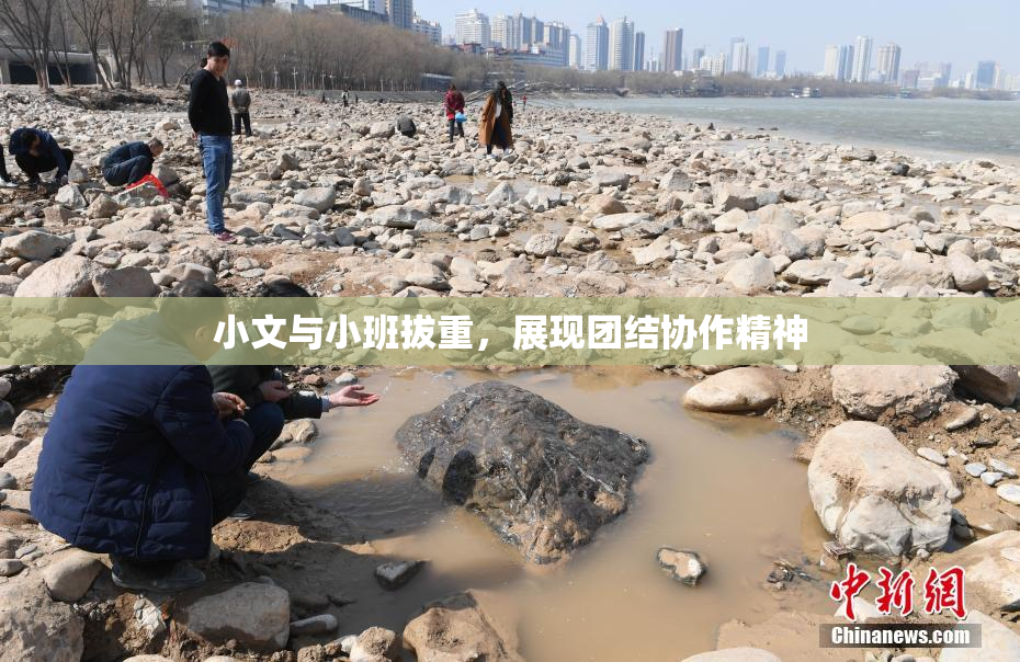 小文与小班拔重，展现团结协作精神