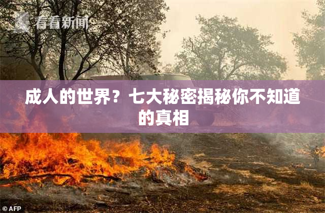 成人的世界？七大秘密揭秘你不知道的真相