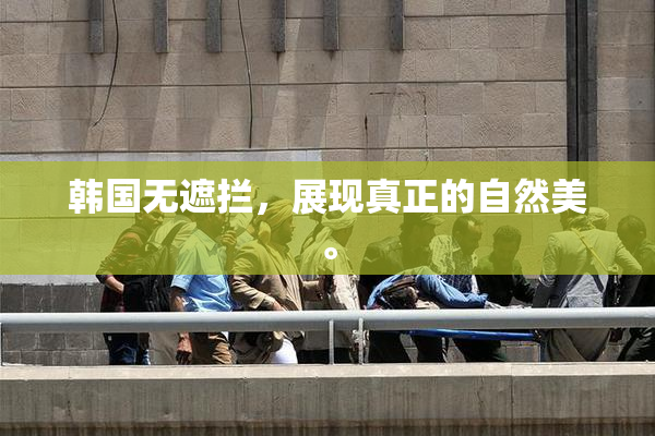 韩国无遮拦，展现真正的自然美。