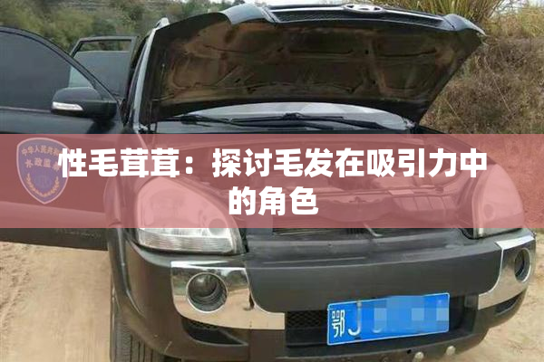 性毛茸茸：探讨毛发在吸引力中的角色