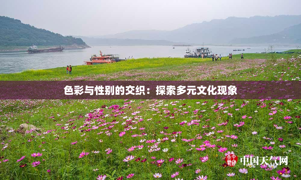 色彩与性别的交织：探索多元文化现象