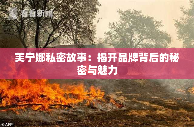 芙宁娜私密故事：揭开品牌背后的秘密与魅力