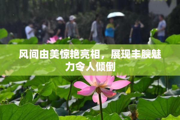 风间由美惊艳亮相，展现丰腴魅力令人倾倒