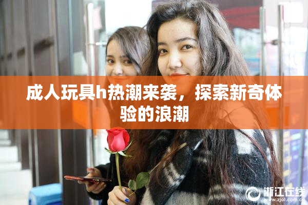 成人玩具h热潮来袭，探索新奇体验的浪潮