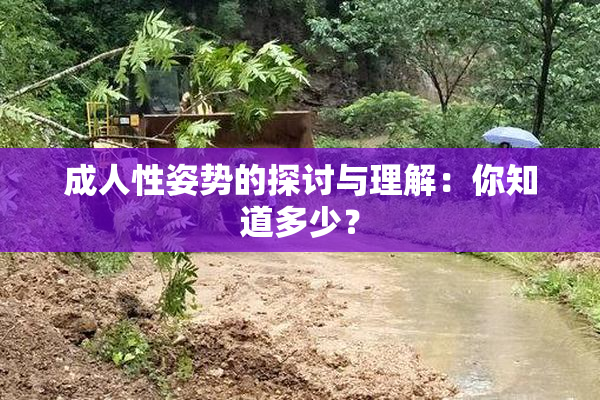 成人性姿势的探讨与理解：你知道多少？