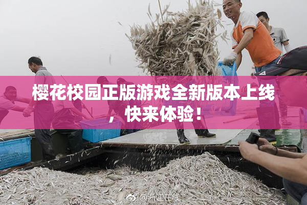樱花校园正版游戏全新版本上线，快来体验！