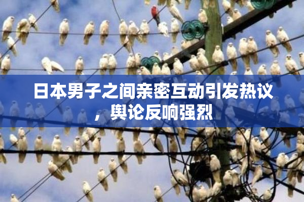 日本男子之间亲密互动引发热议，舆论反响强烈