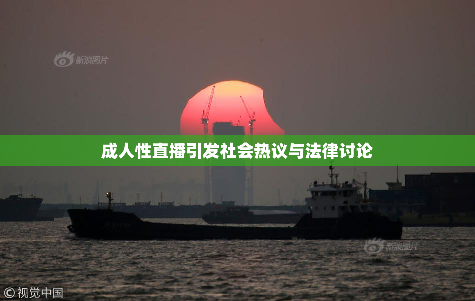 成人性直播引发社会热议与法律讨论