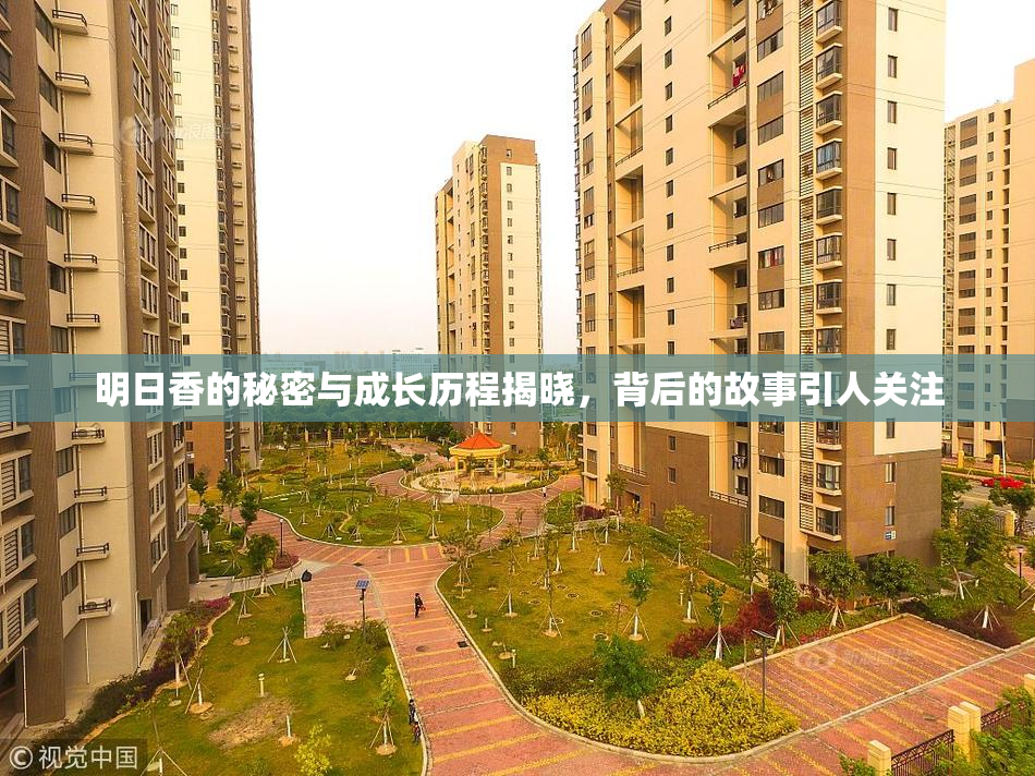 明日香的秘密与成长历程揭晓，背后的故事引人关注