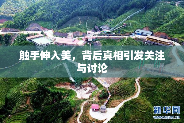 触手伸入美，背后真相引发关注与讨论
