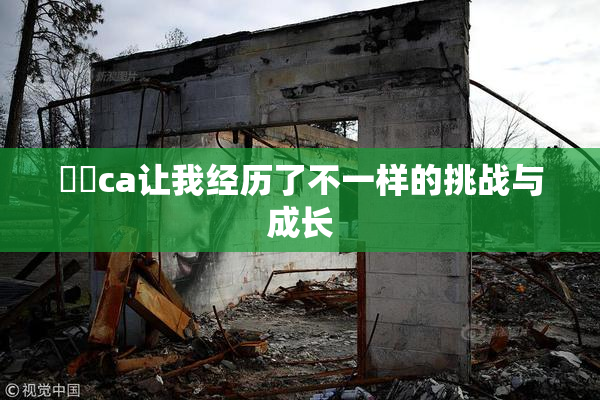 妺妺ca让我经历了不一样的挑战与成长