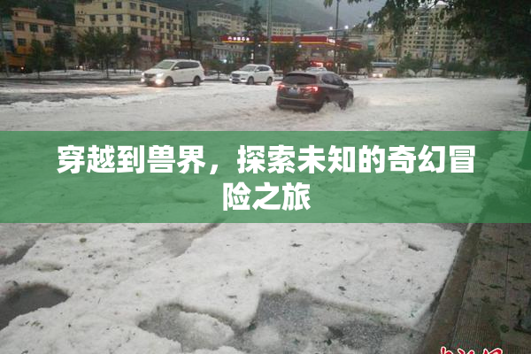 穿越到兽界，探索未知的奇幻冒险之旅