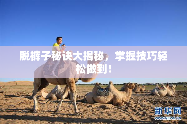 脱裤子秘诀大揭秘，掌握技巧轻松做到！