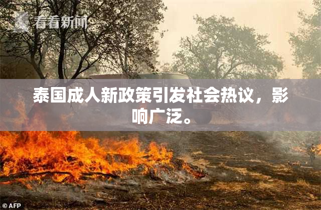 泰国成人新政策引发社会热议，影响广泛。