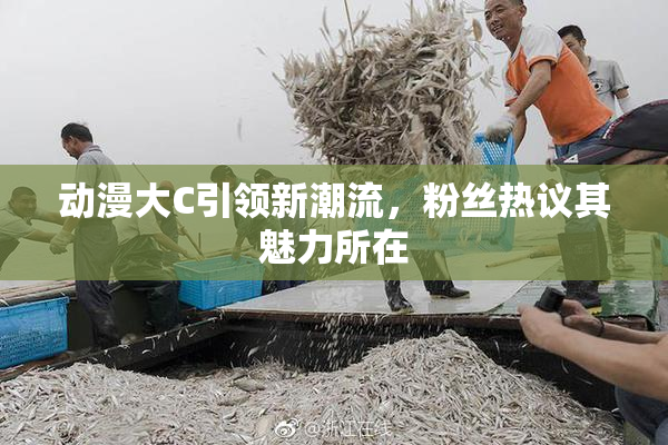 动漫大C引领新潮流，粉丝热议其魅力所在