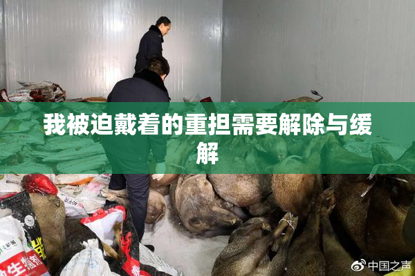 我被迫戴着的重担需要解除与缓解