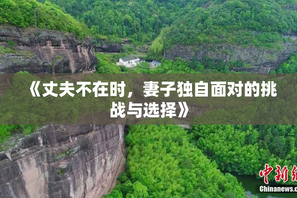 《丈夫不在时，妻子独自面对的挑战与选择》