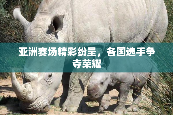 亚洲赛场精彩纷呈，各国选手争夺荣耀