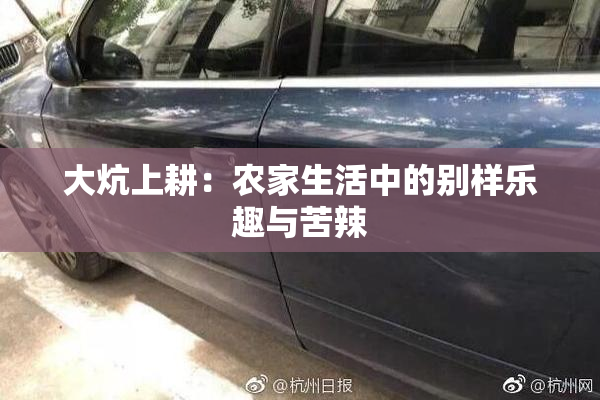 大炕上耕：农家生活中的别样乐趣与苦辣