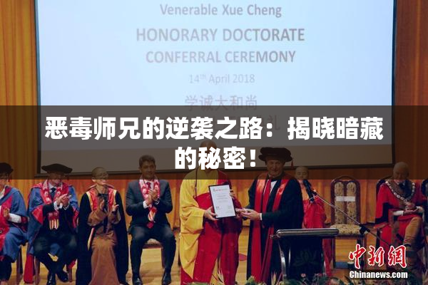 恶毒师兄的逆袭之路：揭晓暗藏的秘密！