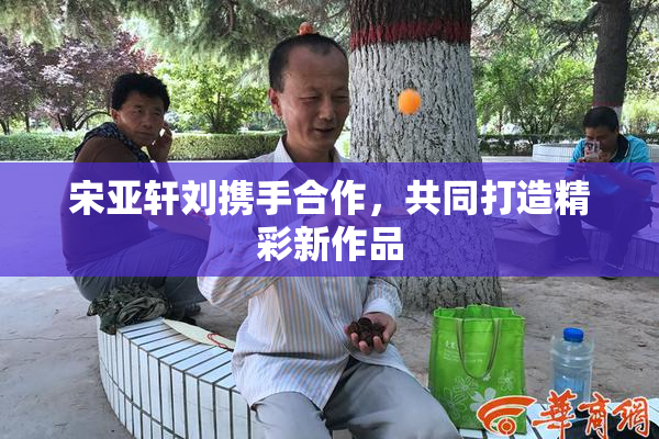 宋亚轩刘携手合作，共同打造精彩新作品