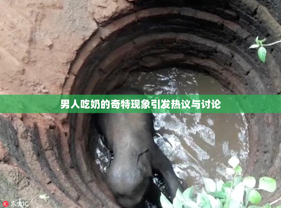 男人吃奶的奇特现象引发热议与讨论