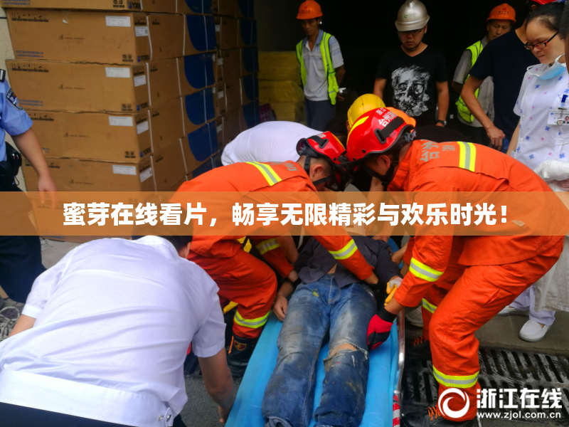 蜜芽在线看片，畅享无限精彩与欢乐时光！