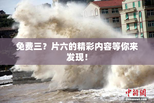 免费三？片六的精彩内容等你来发现！