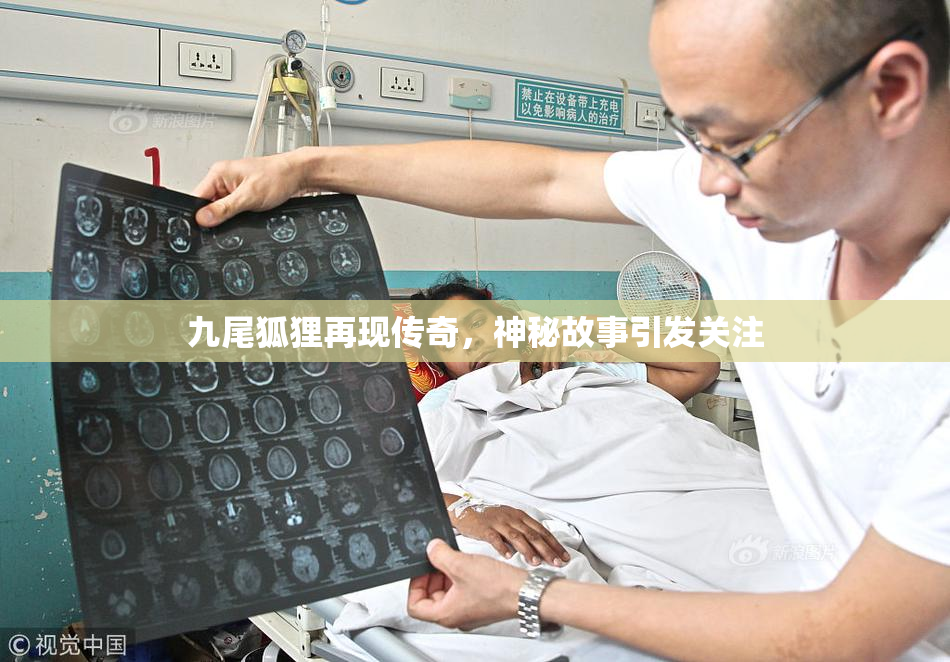 九尾狐狸再现传奇，神秘故事引发关注