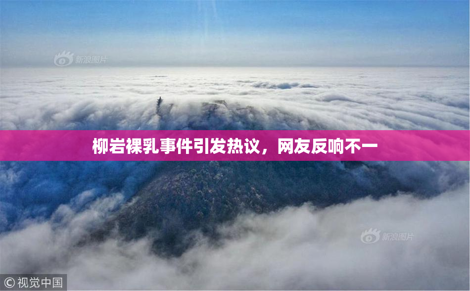 柳岩裸乳事件引发热议，网友反响不一