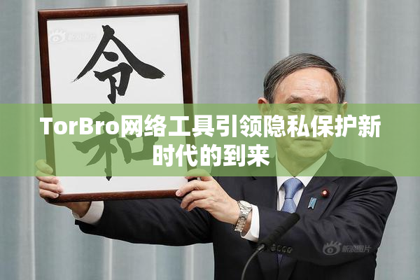 TorBro网络工具引领隐私保护新时代的到来