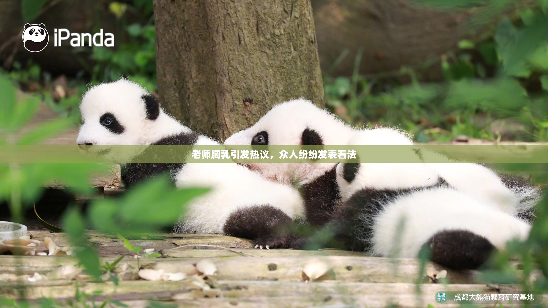 老师胸乳引发热议，众人纷纷发表看法