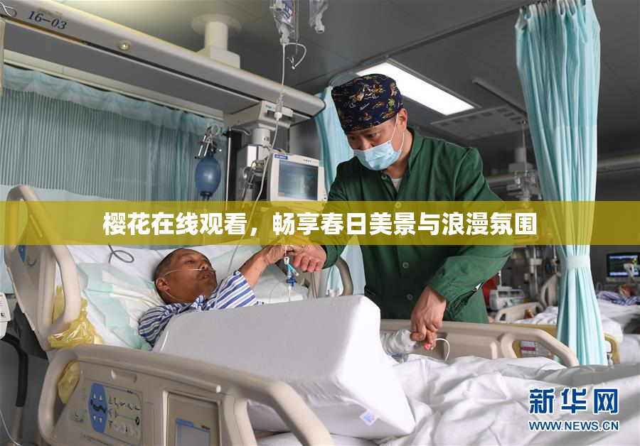 樱花在线观看，畅享春日美景与浪漫氛围