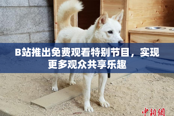 B站推出免费观看特别节目，实现更多观众共享乐趣