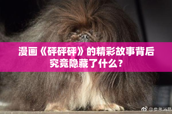 漫画《砰砰砰》的精彩故事背后究竟隐藏了什么？