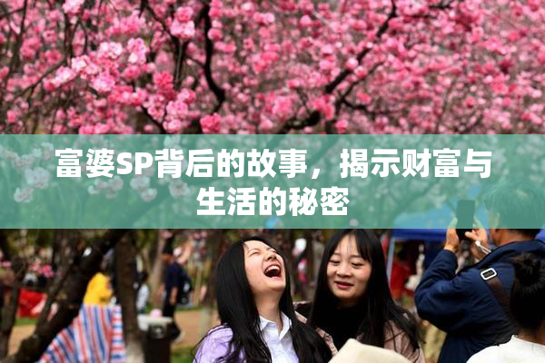 富婆SP背后的故事，揭示财富与生活的秘密