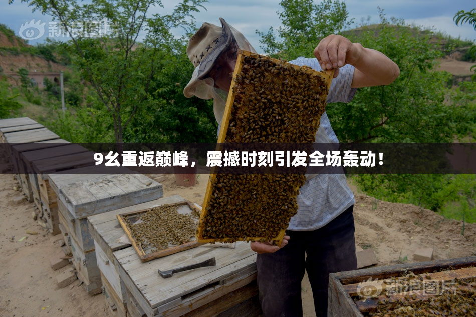 9幺重返巅峰，震撼时刻引发全场轰动！