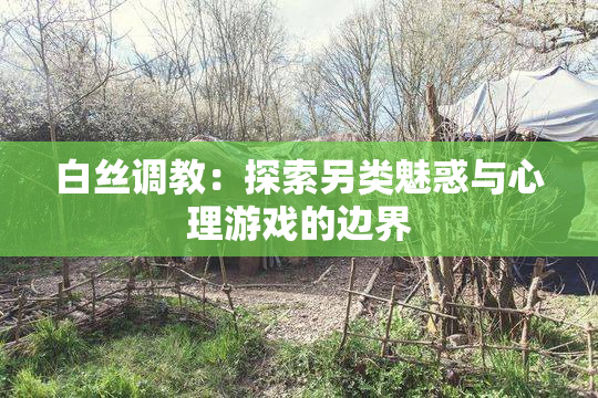 白丝调教：探索另类魅惑与心理游戏的边界