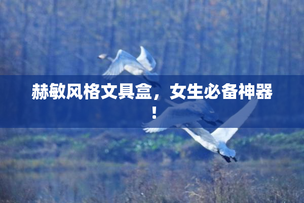 赫敏风格文具盒，女生必备神器！