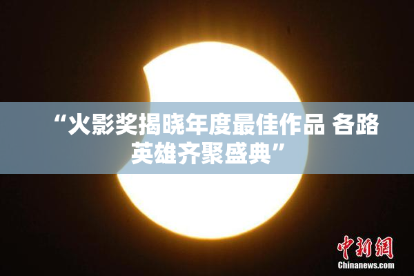 “火影奖揭晓年度最佳作品 各路英雄齐聚盛典”