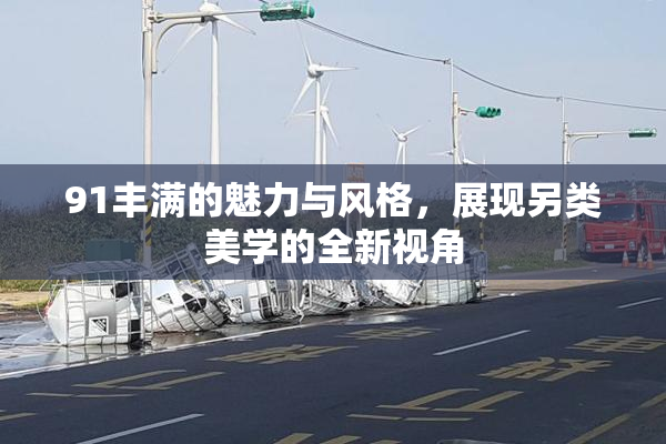 91丰满的魅力与风格，展现另类美学的全新视角