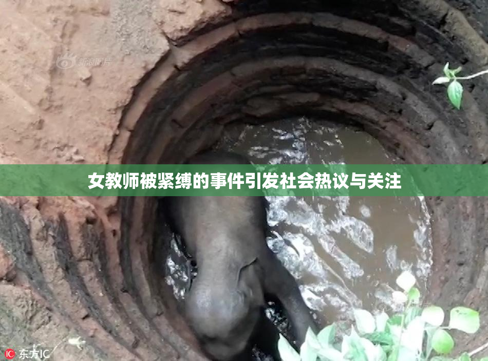 女教师被紧缚的事件引发社会热议与关注